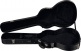 100AS Auditorium Slim Case