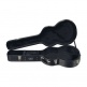 100 Parlor Gigbag