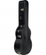 100 Parlor Gigbag