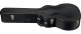 100A Auditorium Case