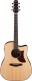 Aad400Ce-Lgs Natural Advanced Acoustic Platinum
