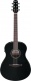 AAM100E-BK Black High Gloss