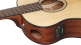 AAM100E-NT Natural High Gloss