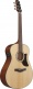 AAM100E-NT Natural High Gloss