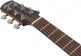 AAM100E-NT Natural High Gloss