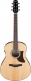 AAM100E-NT Natural High Gloss
