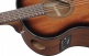AAM140E-MHS Mahogany Sunburst High Gloss