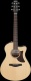 Aam300Ce-Nt Natural Advanced Acoustic