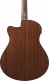 Aam300Ce-Nt Natural Advanced Acoustic