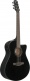 Aam340Ce-Rub Rustic Black High Gloss