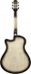 AAM370M1CETPA Transp. Panda High Gloss Finish