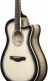 AAM370M1CETPA Transp. Panda High Gloss Finish