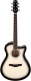 AAM370M1CETPA Transp. Panda High Gloss Finish