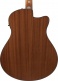 Aam50Lce-Olb Open Pore Light Brown Sunburst Top, Natural Open Pore Back And Sides