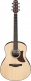 AAM50-OPN Natural Advanced Acoustic