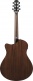 Aam700Ce-Nt Natural Advanced Acoustic Platinum