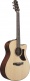 Aam700Ce-Nt Natural Advanced Acoustic Platinum