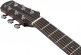 Aam700Ce-Nt Natural Advanced Acoustic Platinum