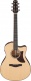 Aam700Ce-Nt Natural Advanced Acoustic Platinum