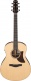 Aam780E-Nt Natural Advanced Acoustic Platinum