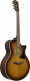 AE160-VMS Vintage Mahogany Sunburst High Gloss