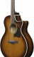 AE160-VMS Vintage Mahogany Sunburst High Gloss
