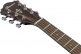 AE160-VMS Vintage Mahogany Sunburst High Gloss