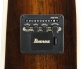 AE160-VMS Vintage Mahogany Sunburst High Gloss