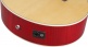 Ae170-Ntr Natural High Gloss Top, Transparent Red High Gloss Back And Sides