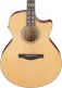 Ae170-Ntr Natural High Gloss Top, Transparent Red High Gloss Back And Sides