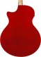 Ae170-Ntr Natural High Gloss Top, Transparent Red High Gloss Back And Sides