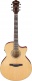 Ae170-Ntr Natural High Gloss Top, Transparent Red High Gloss Back And Sides