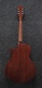 Ae275Bt-Lgs Natural