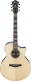 AE390-NTA Natural Top Aqua Blue Body