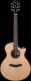 Ae410-Lgs Natural Platinum