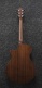 AEG50-DHH Dark Honey Burst