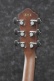 AEG50-DHH Dark Honey Burst