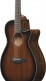 Aeg74-Mhs Mahogany Sunburst