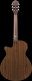 Aeg74N-Mhs Mahogany Sunburst