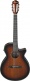 AEG74N-MHS Mahogany Sunburst