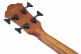 AEGB24E-MHS Mahogany Sunburst