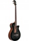 AEGB25E-TKH Transparent Black Sunburst