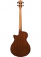 AEGB25E-TKH Transparent Black Sunburst