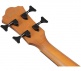 AEGB25E-TKH Transparent Black Sunburst