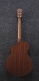 Aewc11-Tcb Transparent Charcoal Burst
