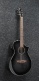 AEWC400-TKS Transparent Black Sunburst