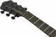 Aewc621-Bot Black Out - BLAGER