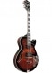 AG95QA-DBS-DARK BROWN SUNBURST ARTCORE EXPRESSIONIST