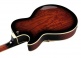 Ag95Qa-Dbs Dark Brown Sunburst Ag Artcore Expressionist