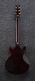 AR420-VLS Violin Sunburst